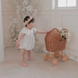 Wicker Doll/Teddy Pram