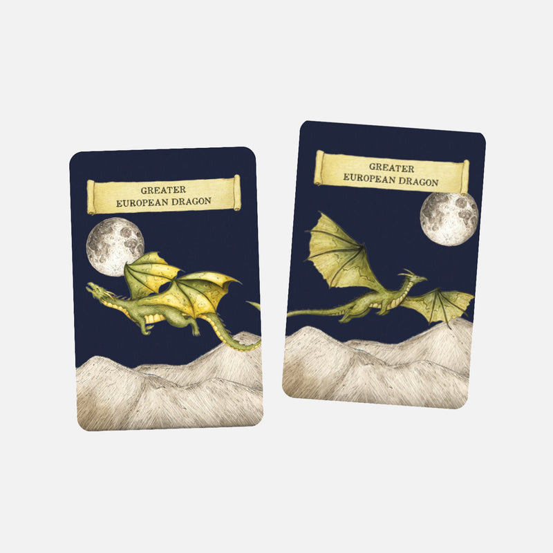 Discover the Dragons Memory Game