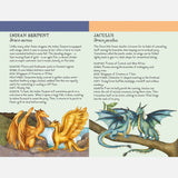 Discover the Dragons Memory Game
