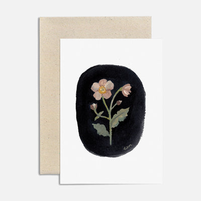 Greeting Card - Anemone