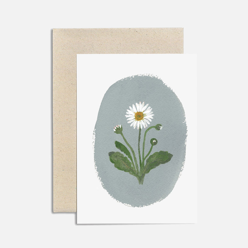 Greeting Card - Daisy