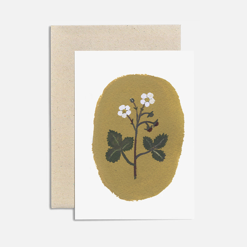 Greeting Cards Illustrated by Gemma Koomen - Flowers -  More Options