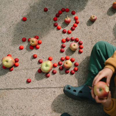 Wooden Mandala Half  Spheres - 36 Pieces