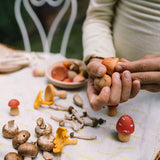 Wooden Mushroom Grove - 18 Pieces