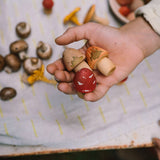 Wooden Mushroom Grove - 18 Pieces