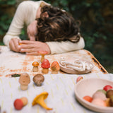 Wooden Mushroom Grove - 18 Pieces