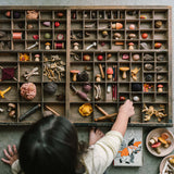 Wooden Mushroom Grove - 18 Pieces