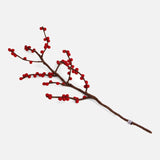 Handmade Felted Wool Branch with Berries - More Colours