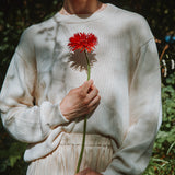 Women's Cotton Knit Sweater - Biscuit