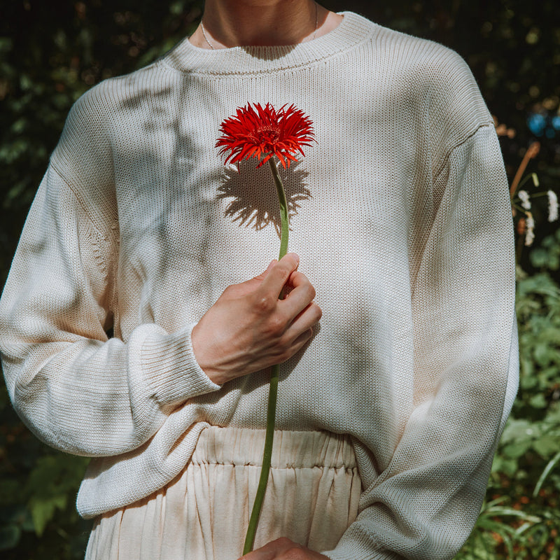 Women's Cotton Knit Sweater - Biscuit