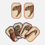 Memory Game - Animal Kingdom