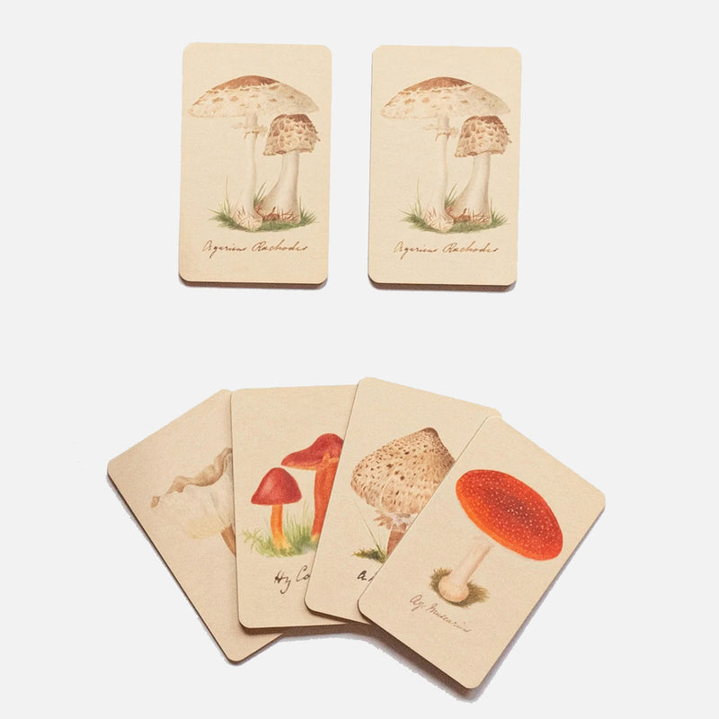 Memory Game - Fungi