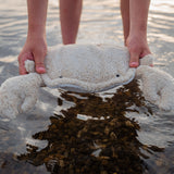 Cotton Small Crab - Linen