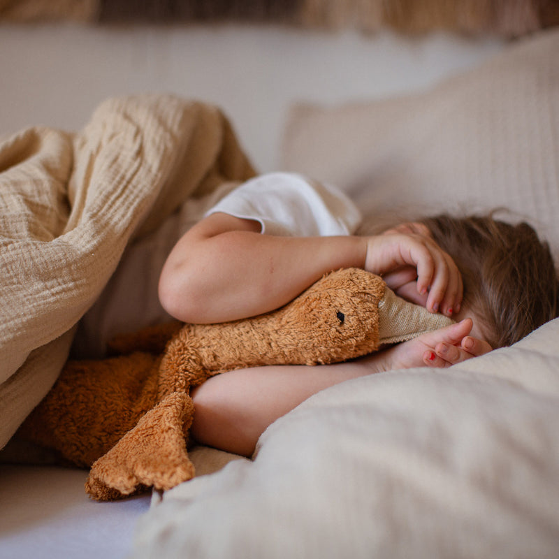 Cotton Small Goose - Rust