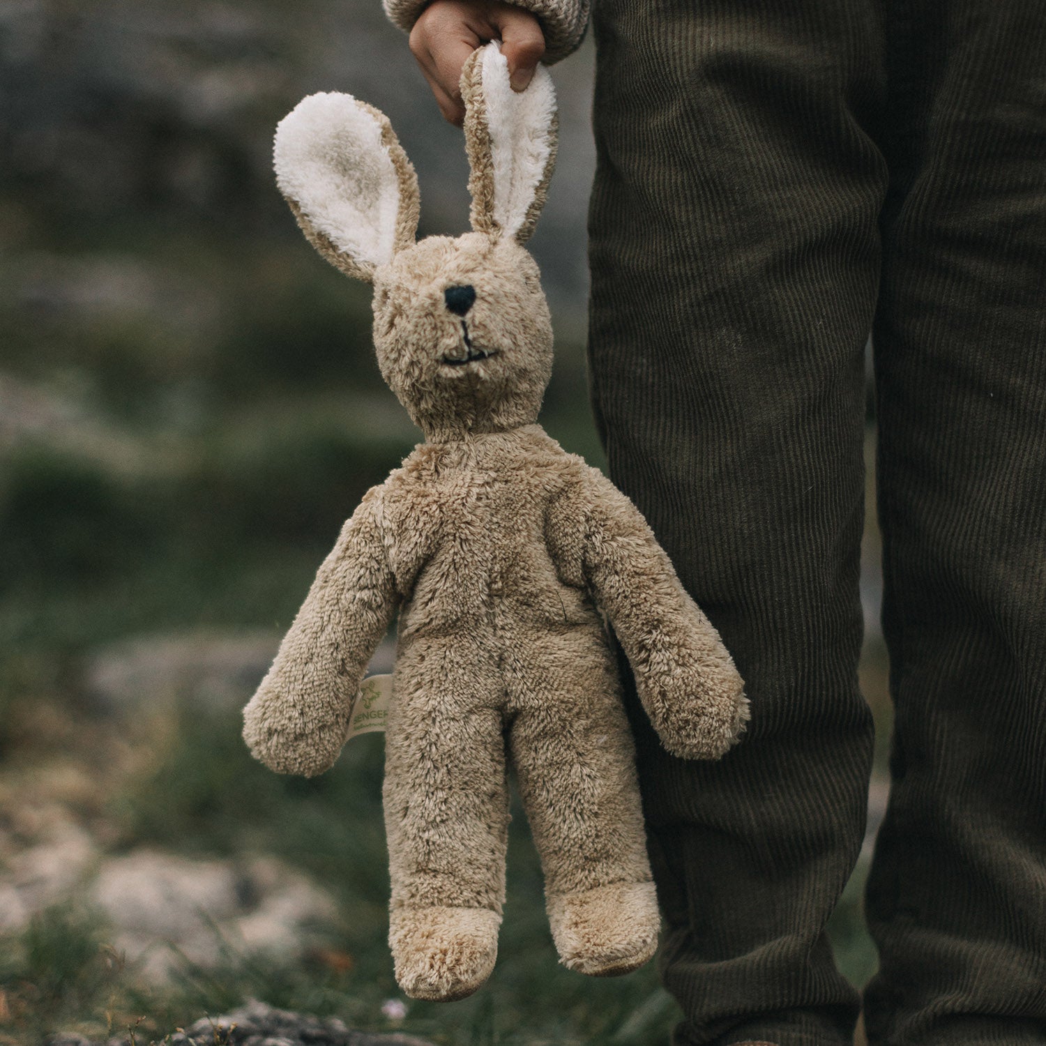Cotton Large Rabbit - Beige – MamaOwl