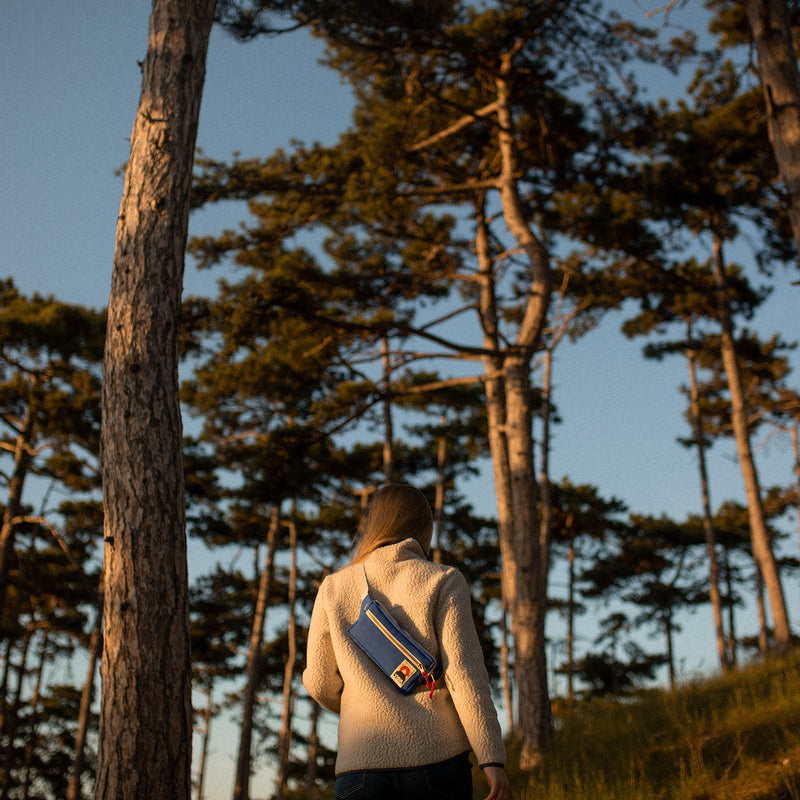 Cotton Canvas Bum Bag - Blue