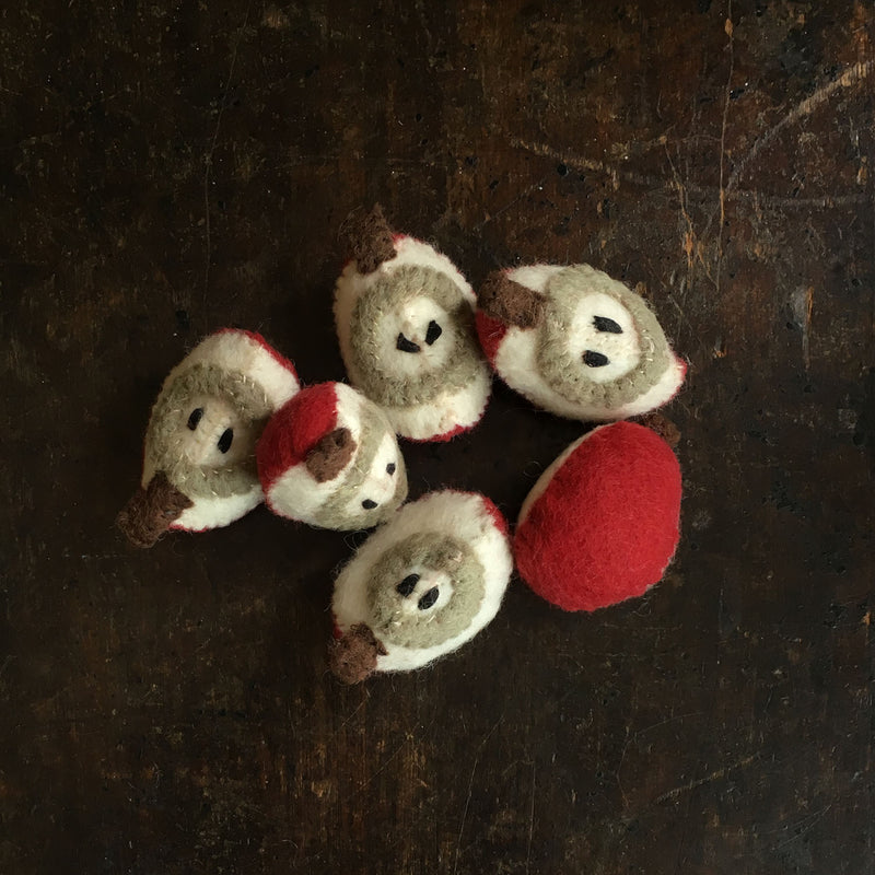 Felted Wool Fruit Apple - Set of 6 Pieces