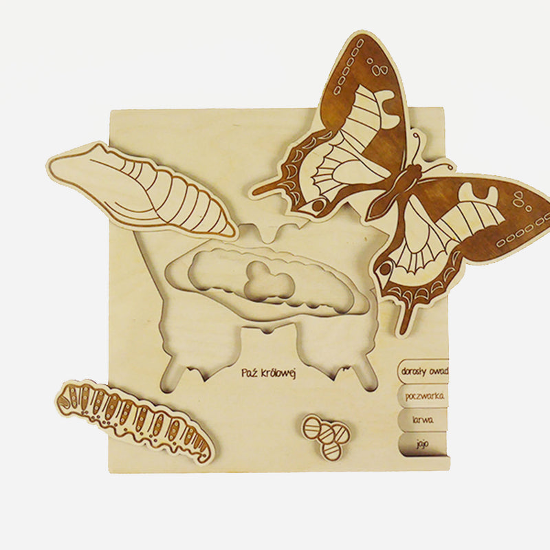 Bug's Life Wooden Puzzle - Swallowtail Butterfly