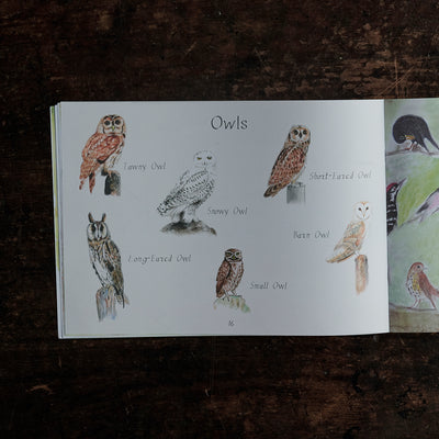 Magazine - Issue No 11 - Owl and Oak