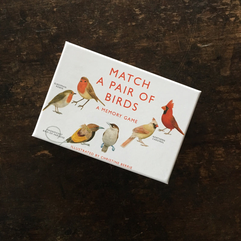 Match a Pair of Birds Game