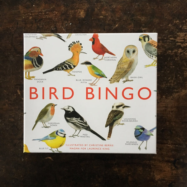 Bird Bingo Game