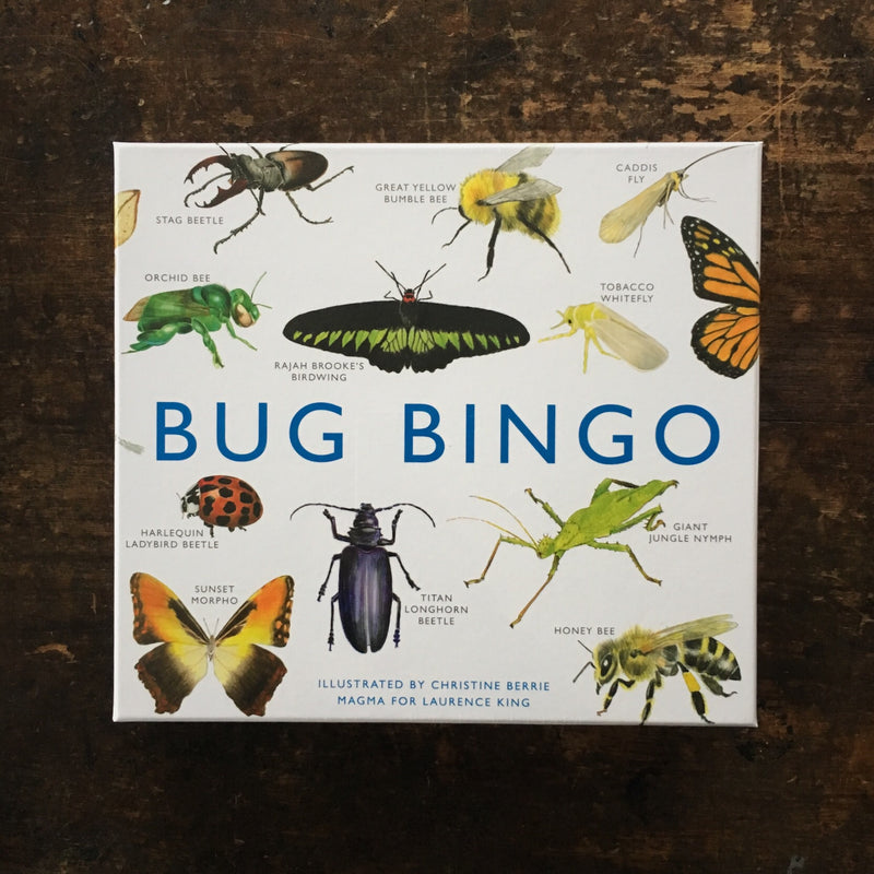 Bug Bingo Game