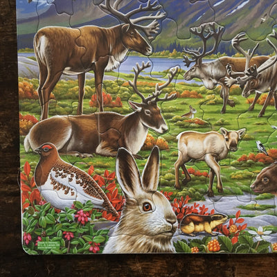 Thick Cardboard Puzzle 50 pieces - Wildlife of the Arctic Inland