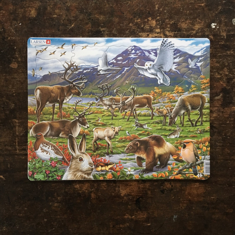 Thick Cardboard Puzzle 50 pieces - Wildlife of the Arctic Inland