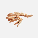 Wooden Laundry Pegs