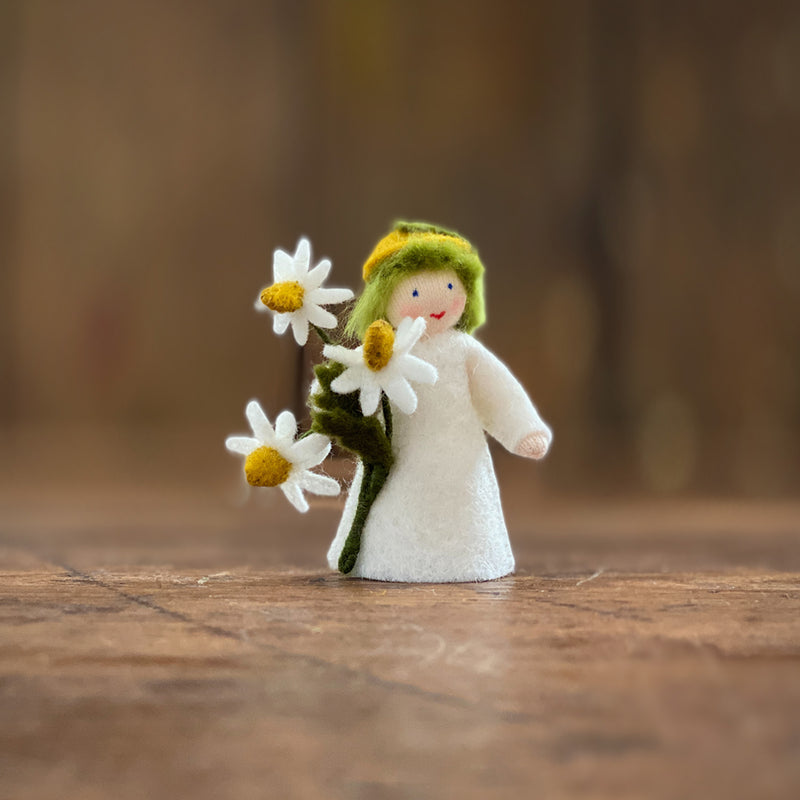 Handmade Wool Fairy Boy Holding Flower - Chamomile - White