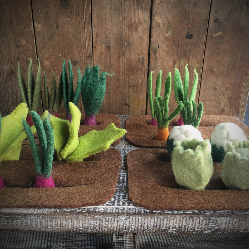 Felted Wool Grow A Garden - Set of 16