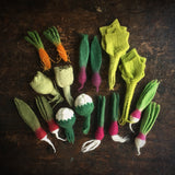 Felted Wool Grow A Garden - Set of 16