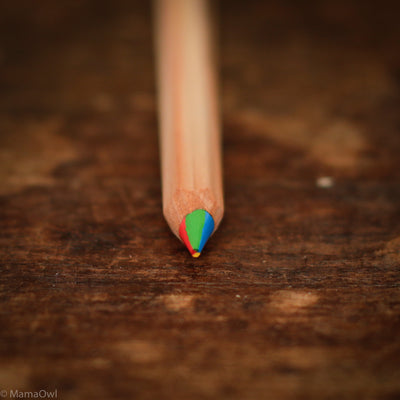 Colour Giants Nature Rainbow Pencil