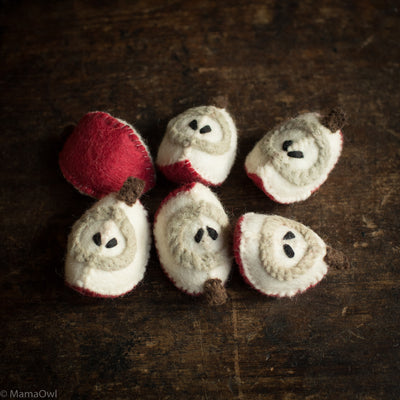 Felted Wool Fruit Apple - Set of 6 Pieces